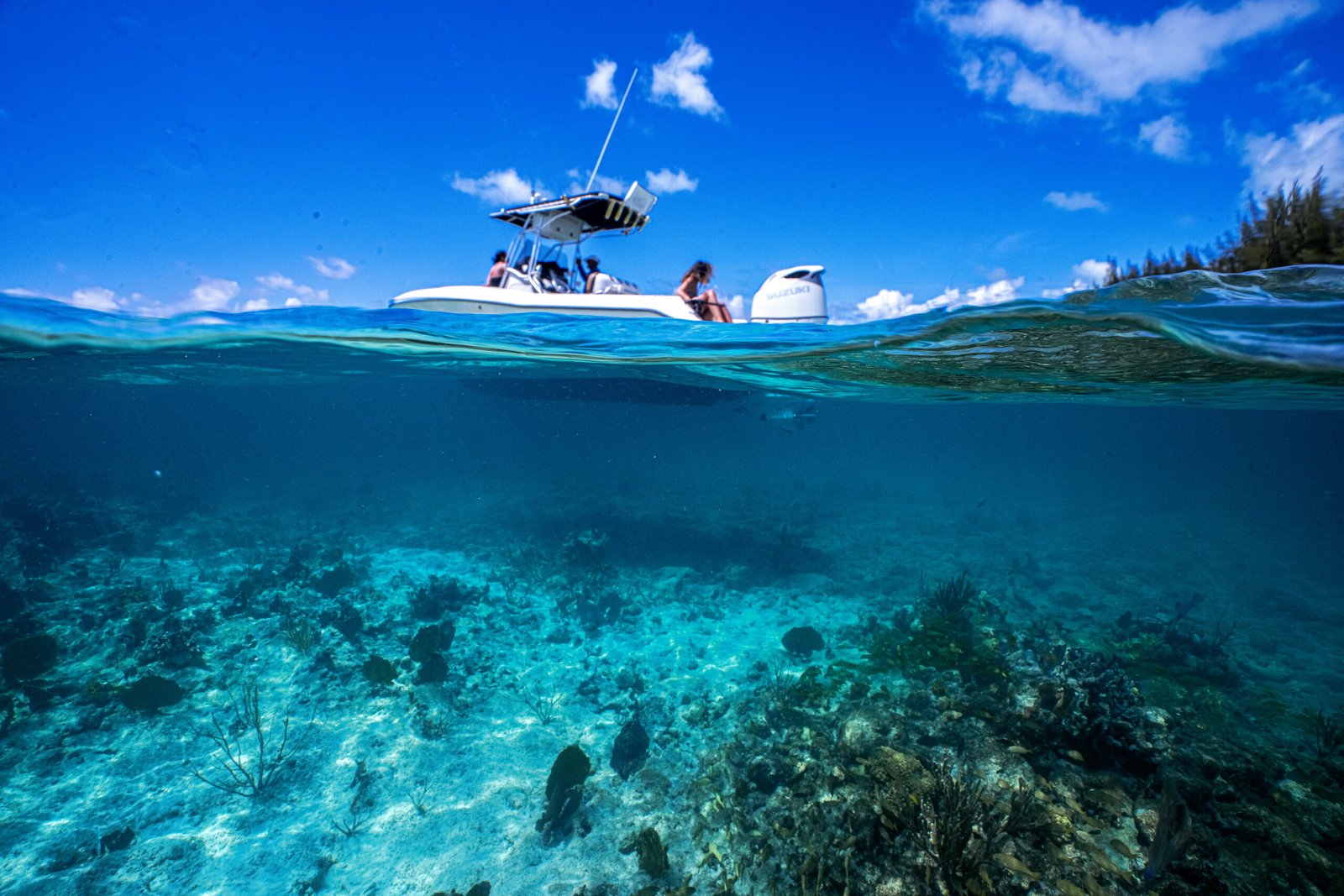 Cay Witness Charters Boat