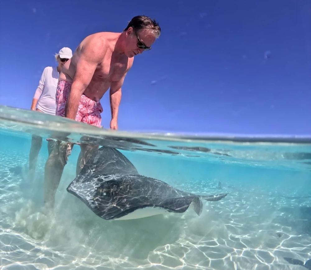 sting ray at sandbar